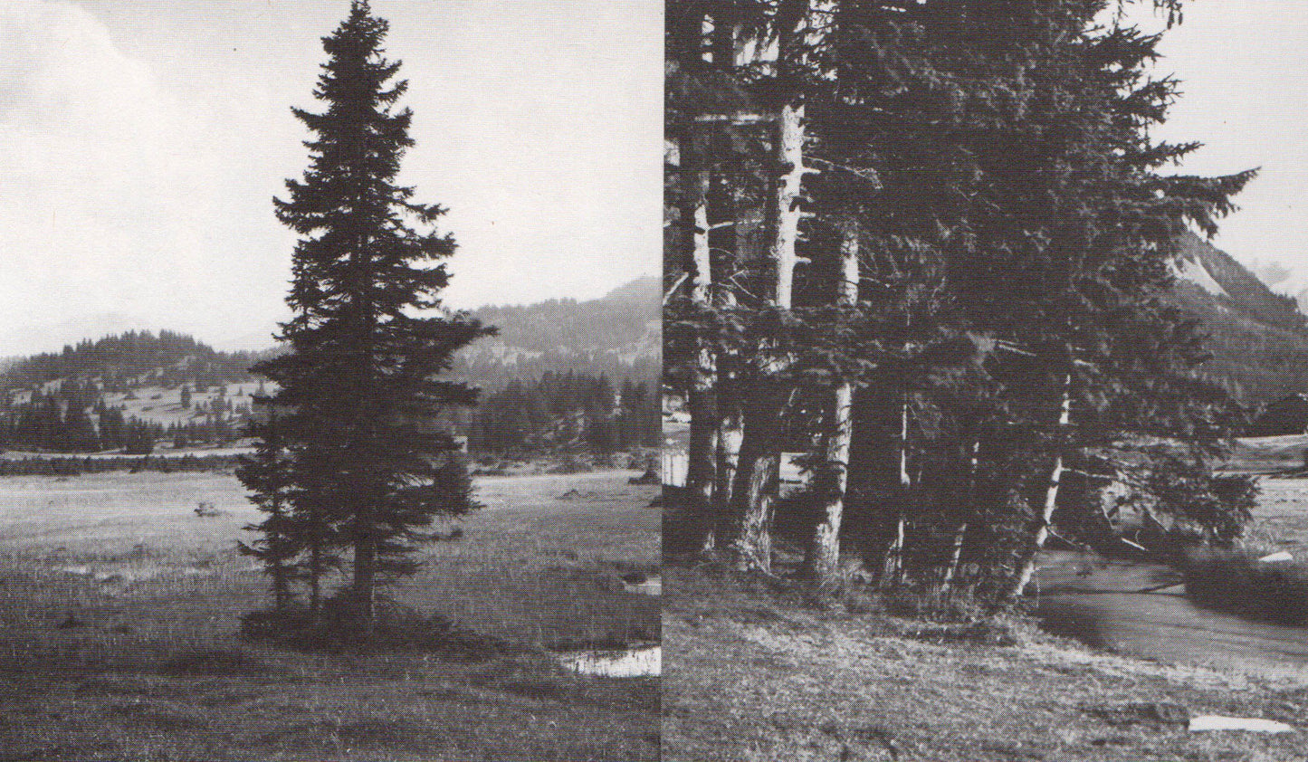 Gary Colclough Untitled (Collage 7)