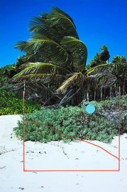 Alice Quaresma Tropical Wind
