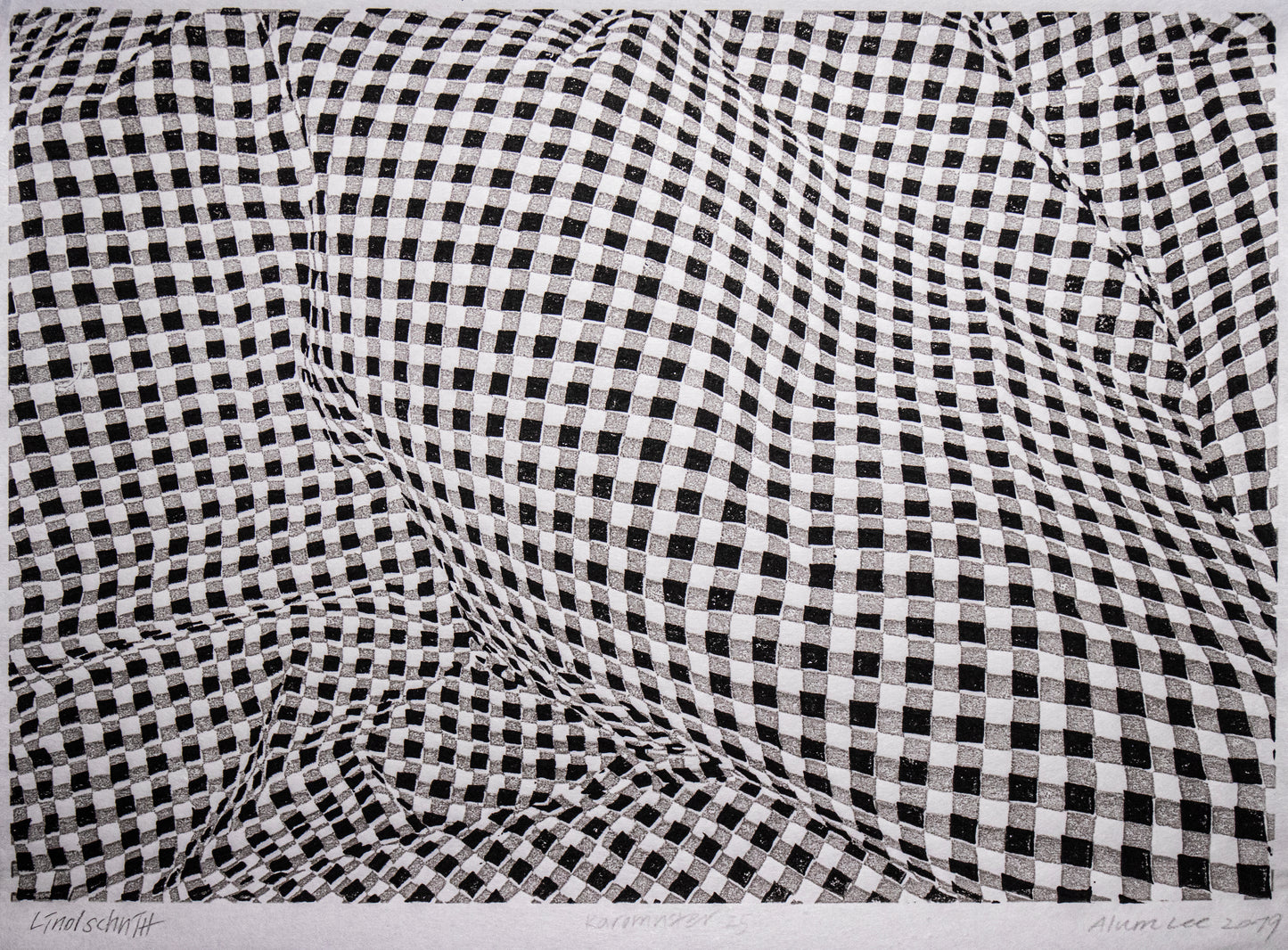 Alum Lee Gingham Check Pattern 25