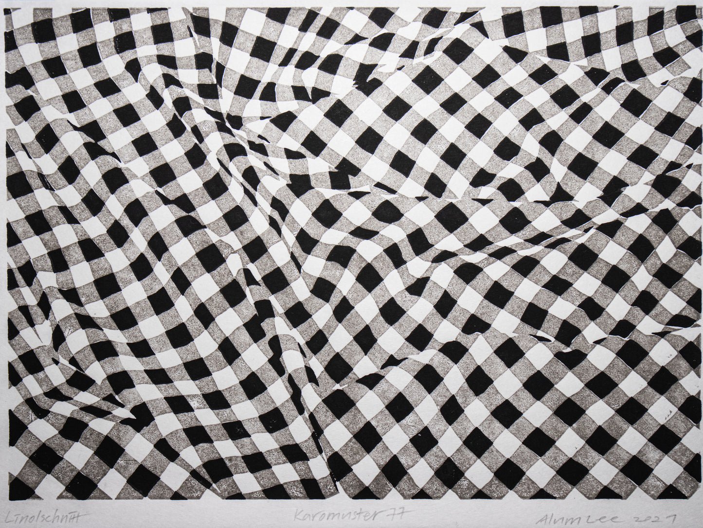 Alum Lee Gingham Check Pattern 77