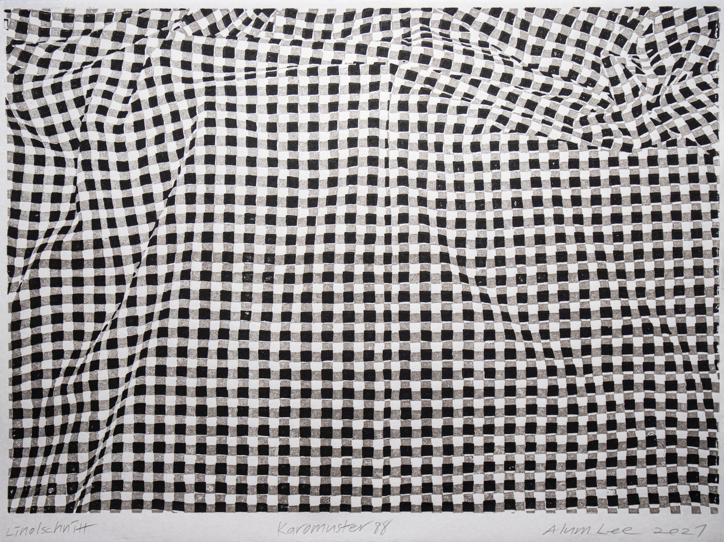 Alum Lee Gingham Check Pattern 88