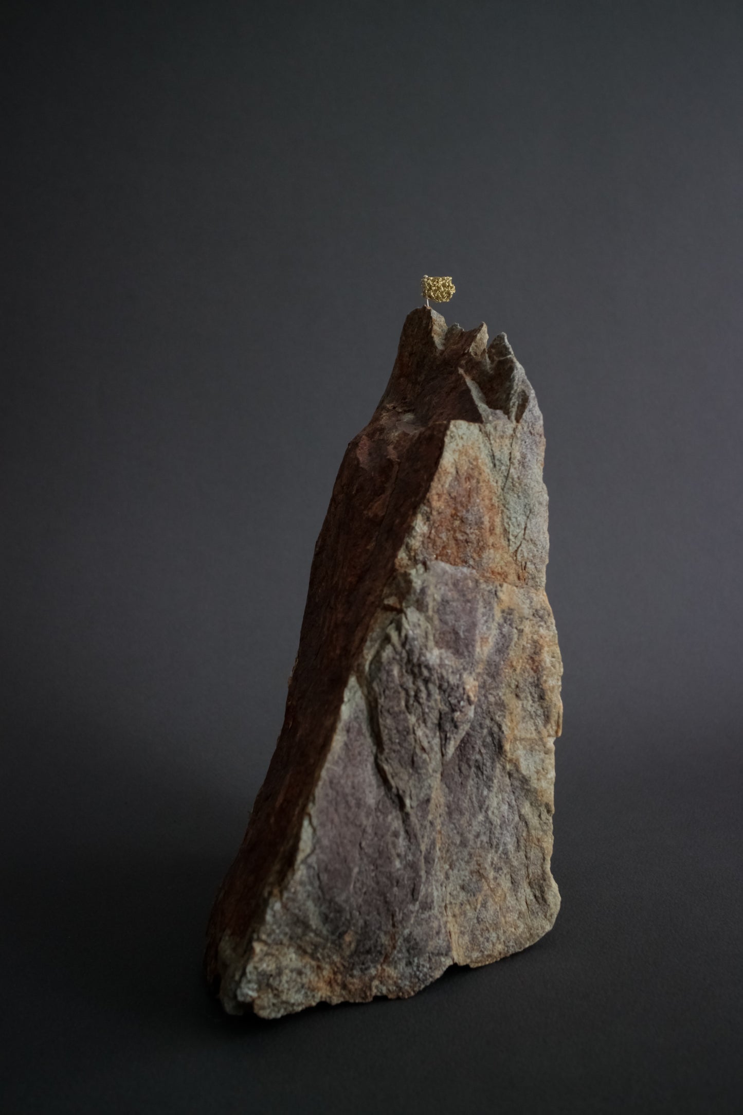 Sumie Garcia Summit Conquest X