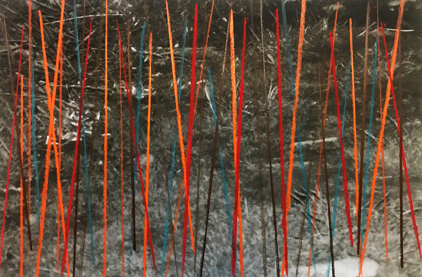 Alice Wilson CSVII