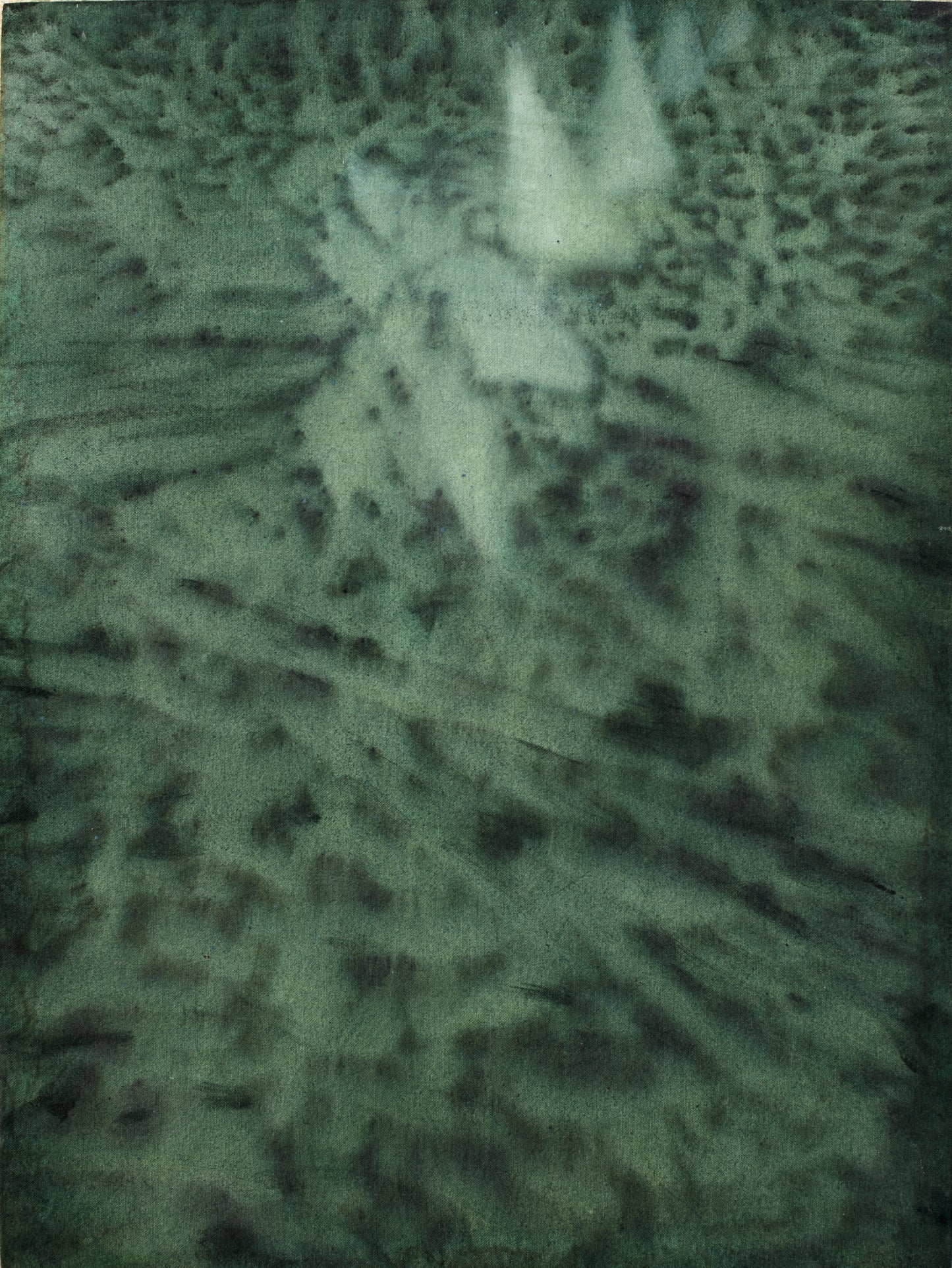 Silvia Giordani Chajchas