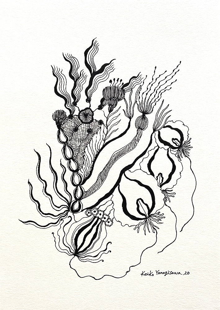 Keiko Yanagisawa Flower in Black and White