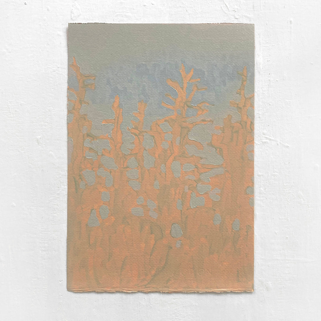 Mark Beldan Forest