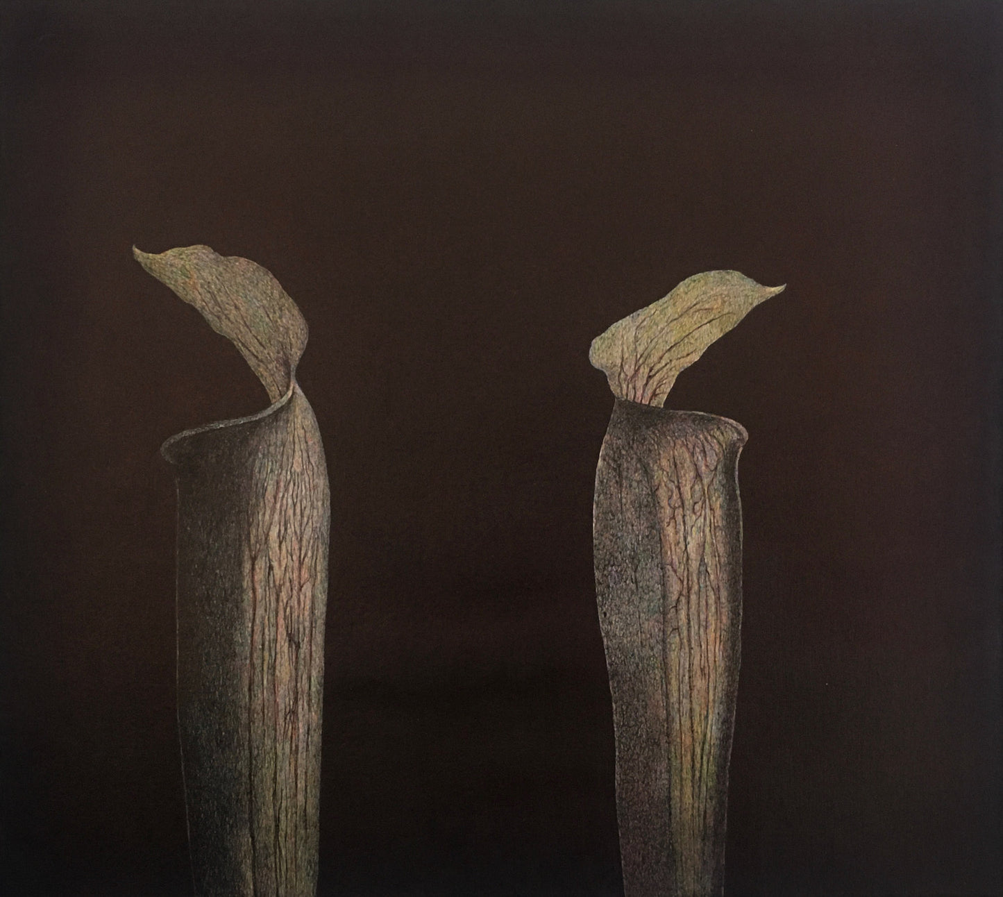 Lloyd Durling Jack in the Pulpit Doppelganger