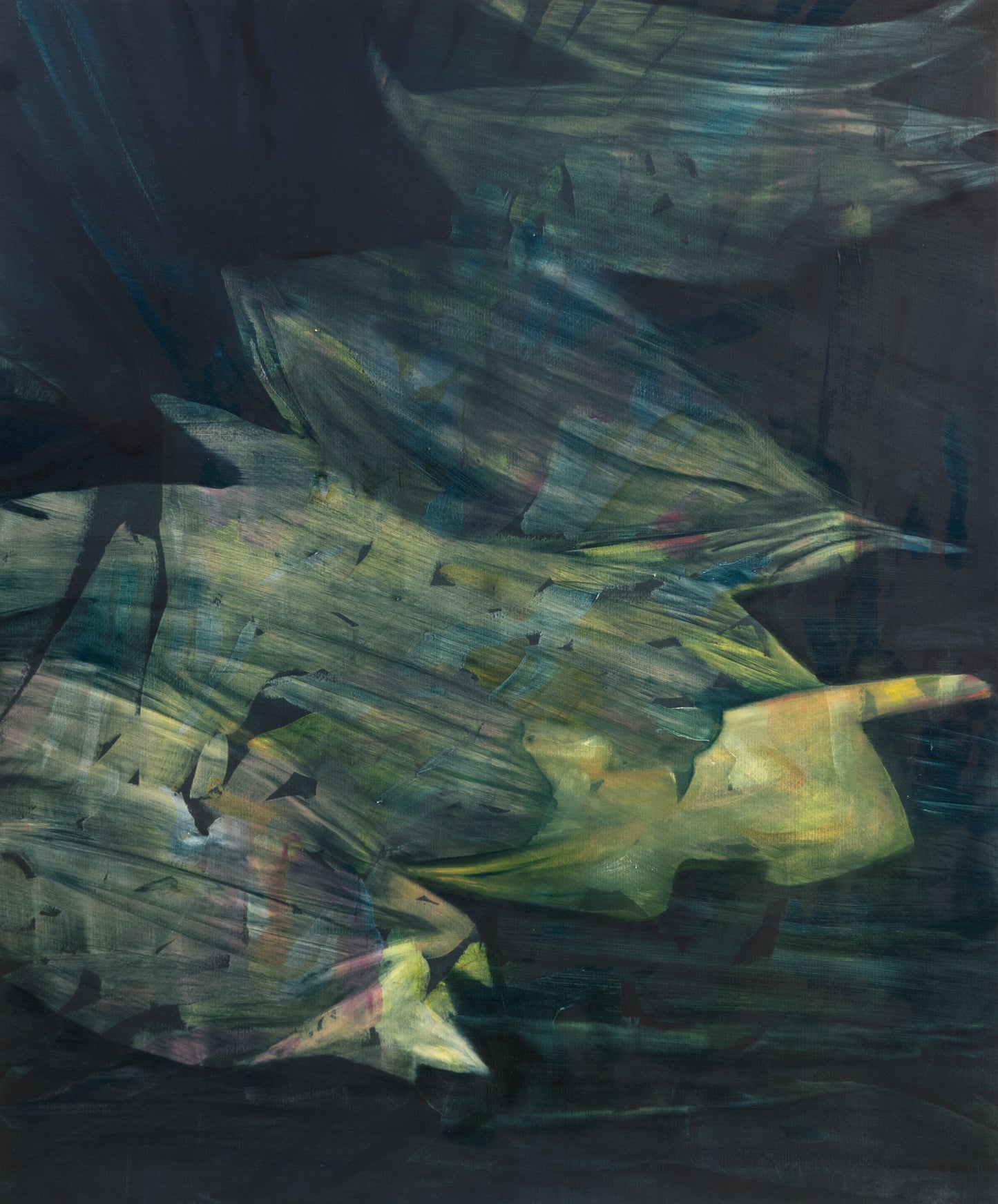 Silvia Giordani Squash Blossoms