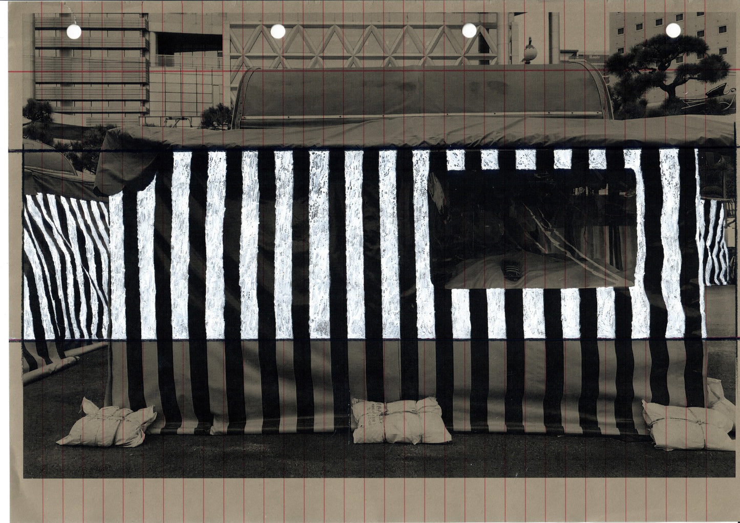 Alum Lee Stripe Pattern 6