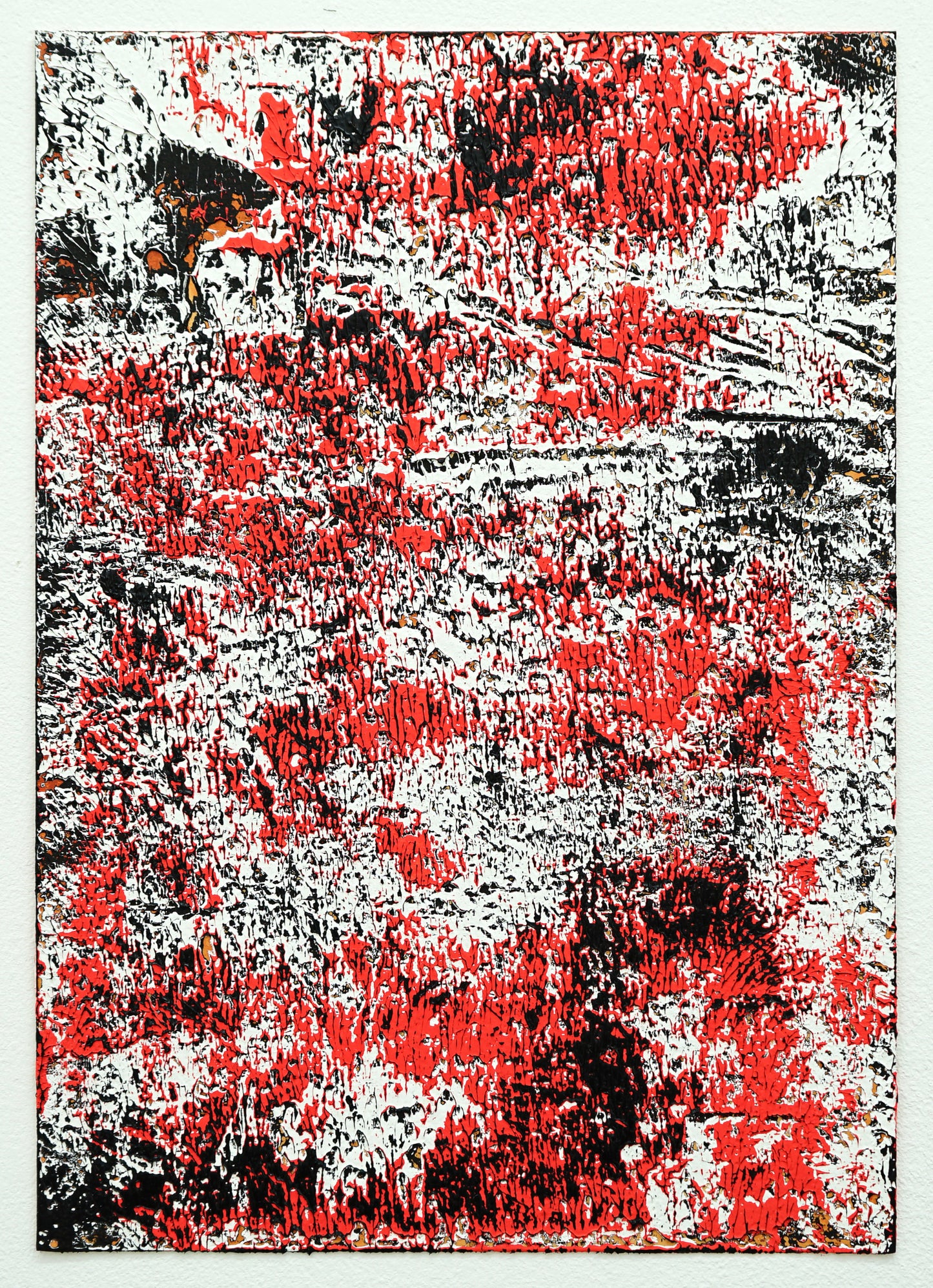 Steven Cox TRNSFR 18