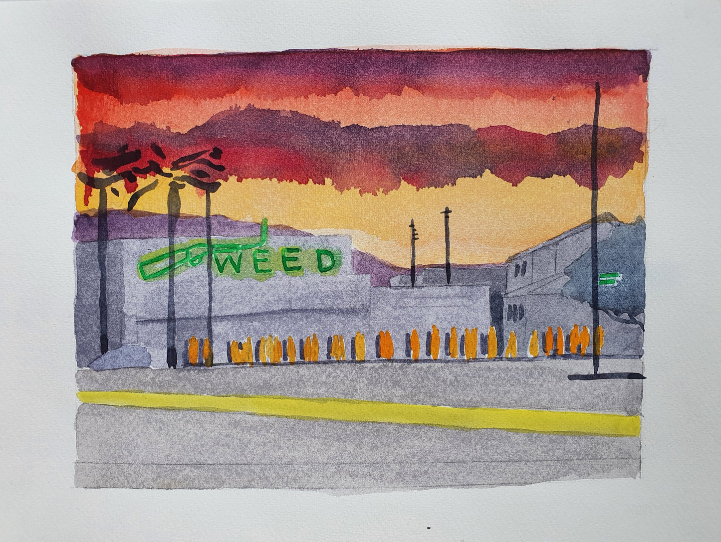 David Risley Weed Store 2