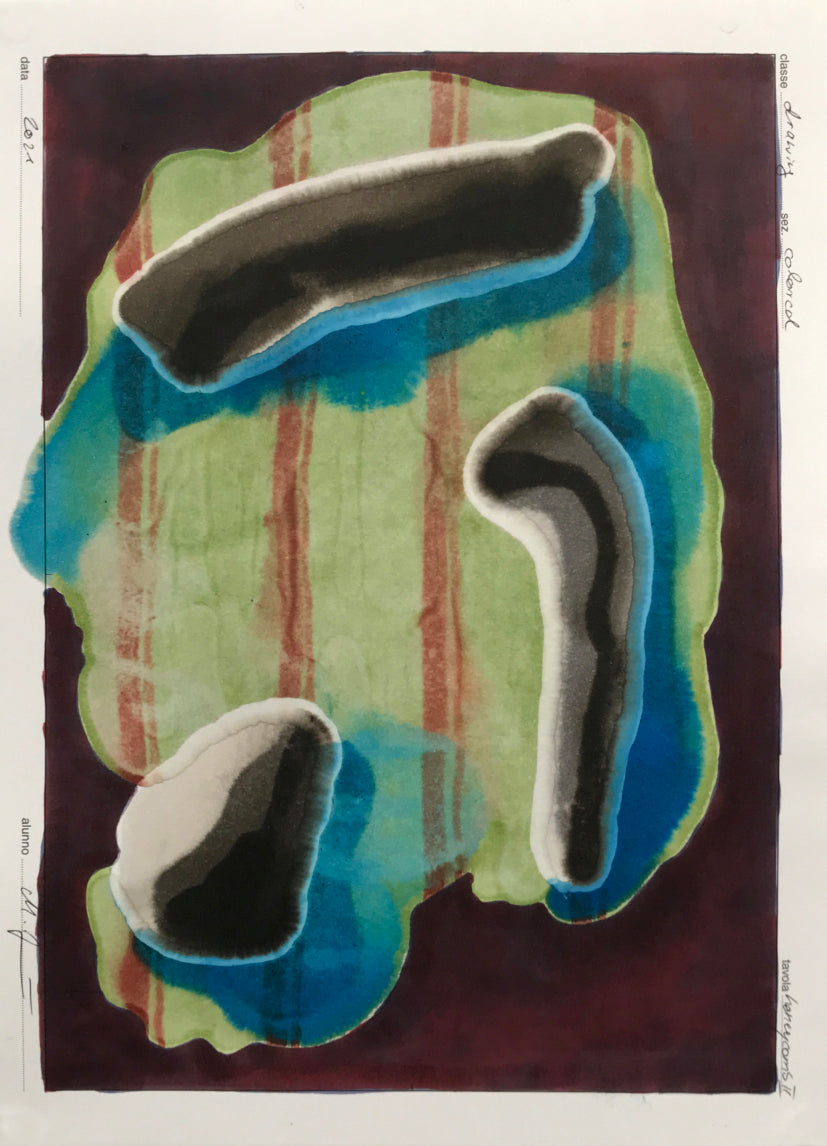 Marco Zumbé Honeycomb 2