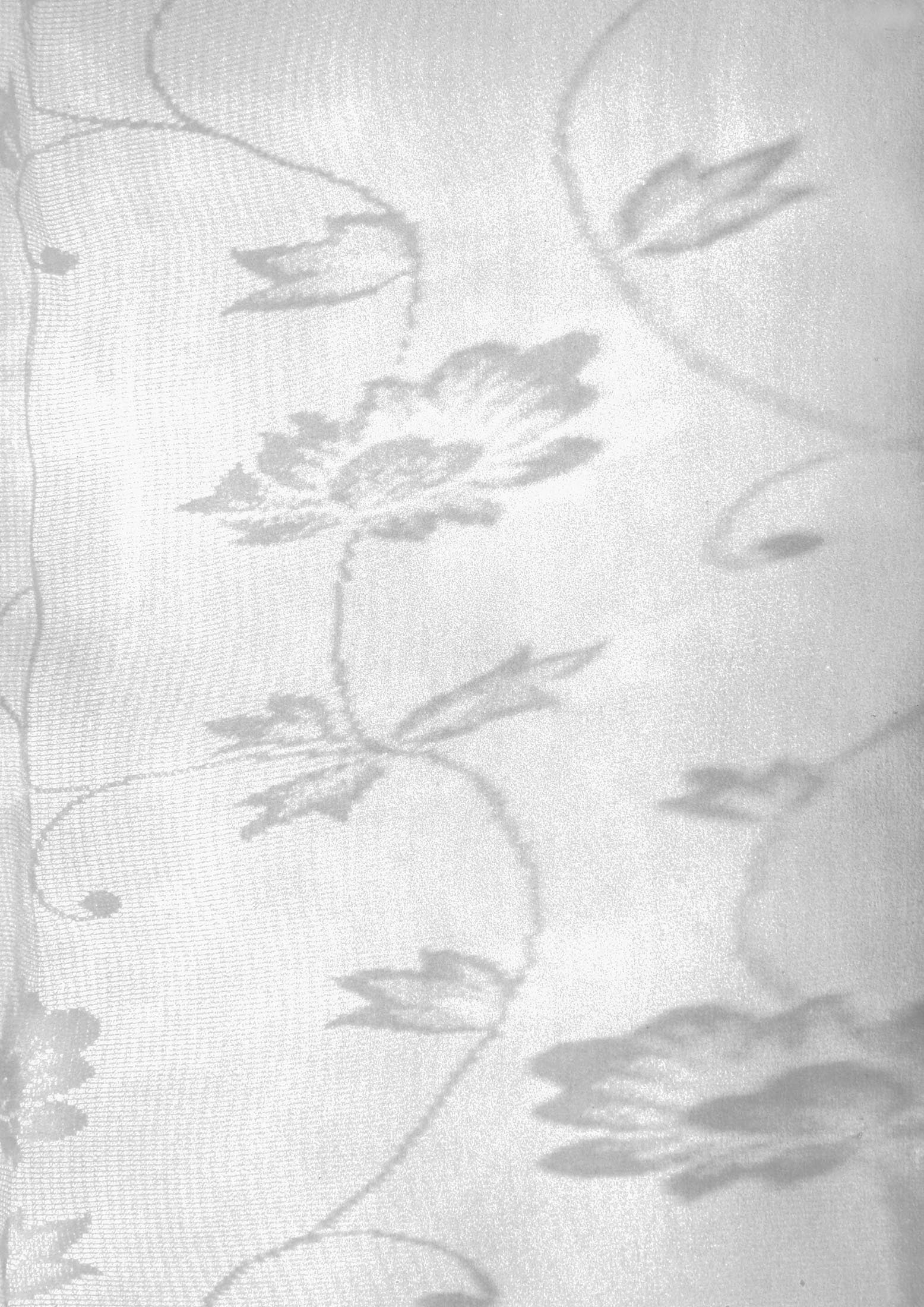 Michael Boffey Curtain Study 3