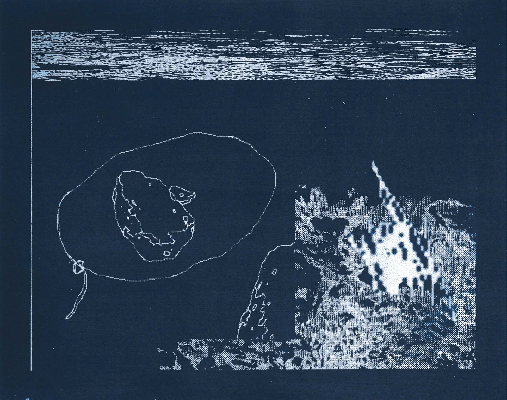 Naomi Nakazato Cyanotype No. 32