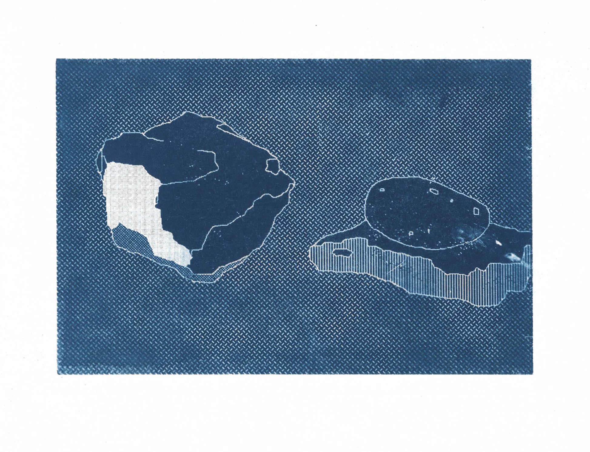 Naomi Nakazato Cyanotype No. 30