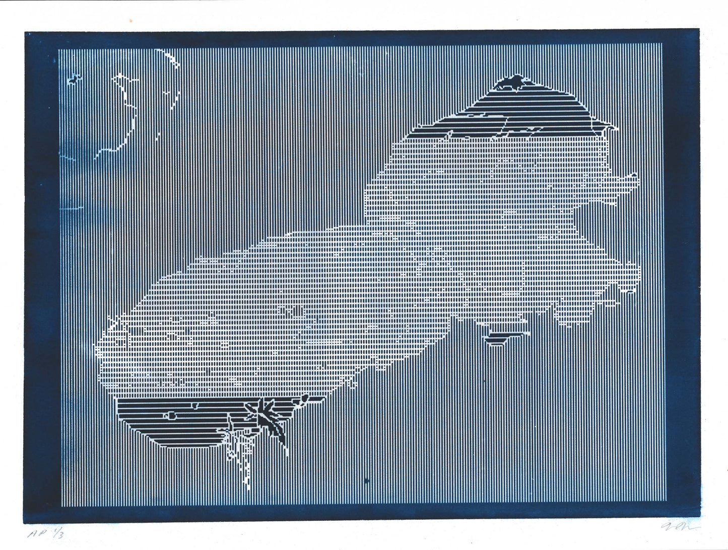 Naomi Nakazato Cyanotype No. 21 Summer 1/3