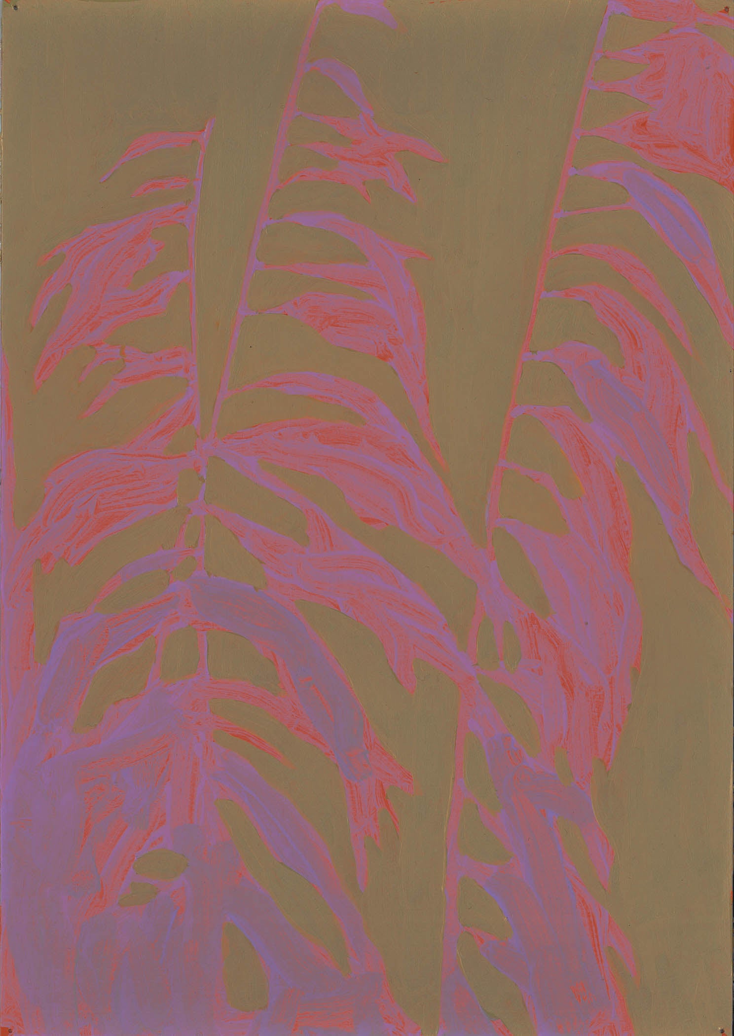 Mark Beldan Pampas Grass