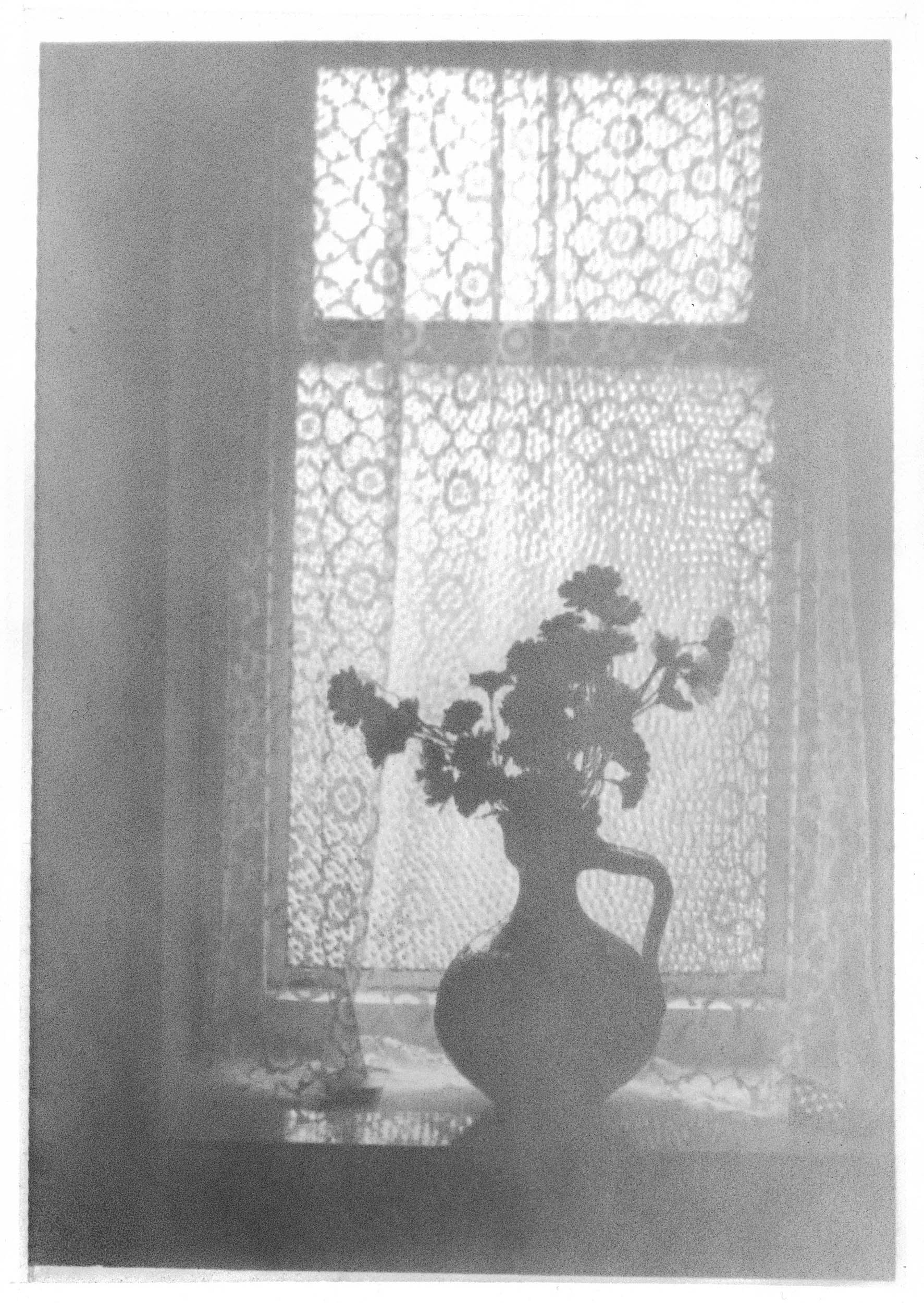 Michael Boffey Avoca