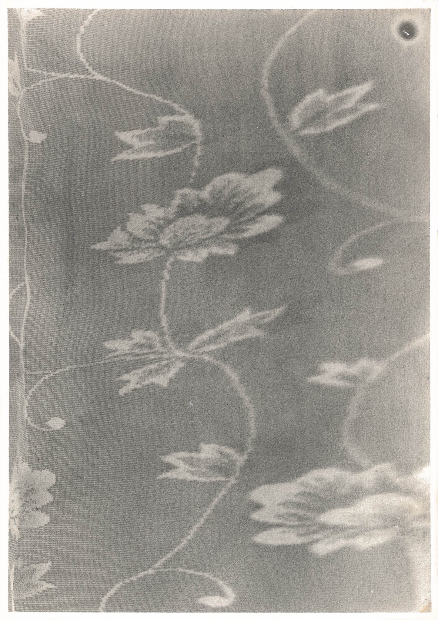 Michael Boffey Curtain Study 2