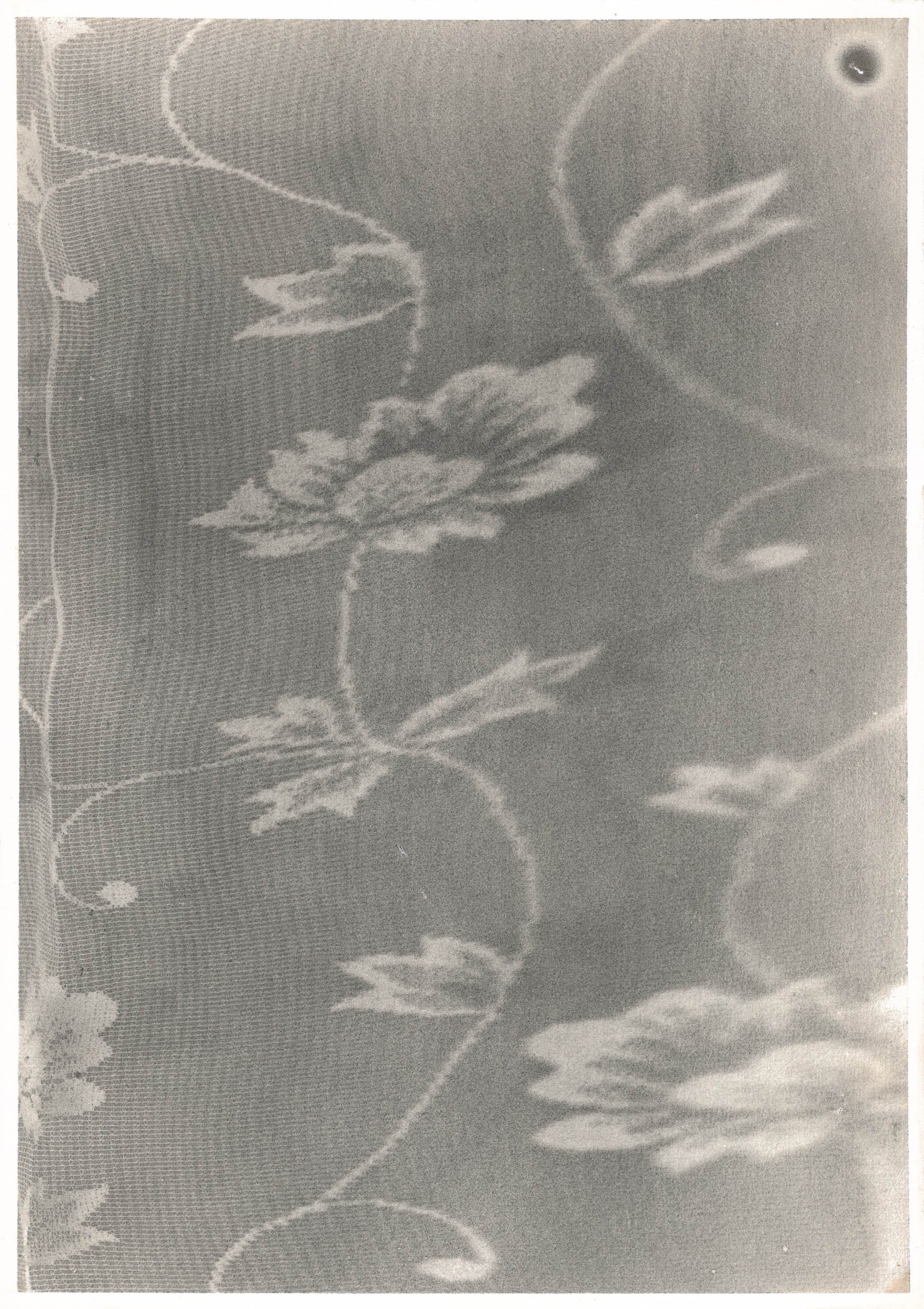 Michael Boffey Curtain Study 2
