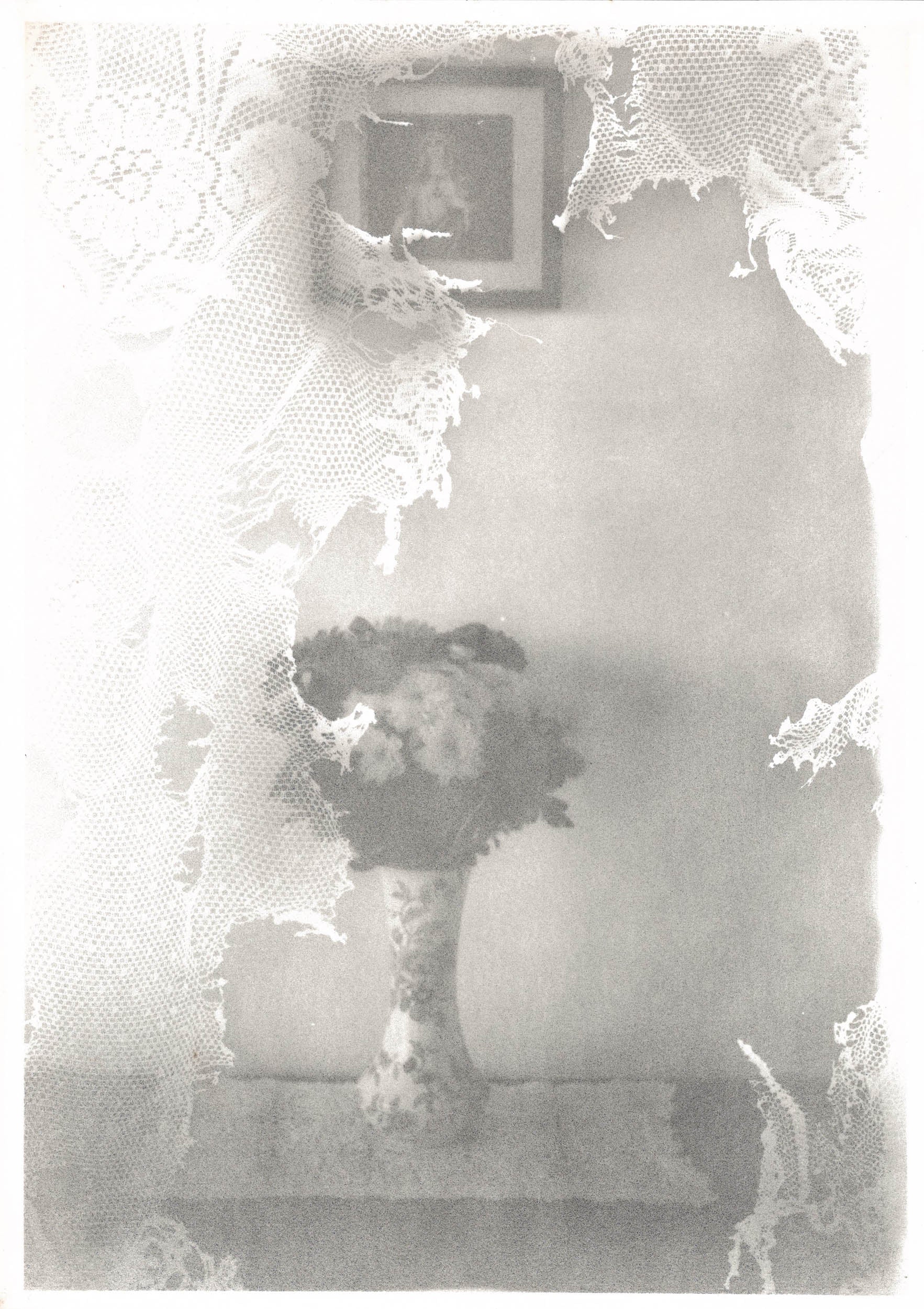 Michael Boffey Flowered Transparence