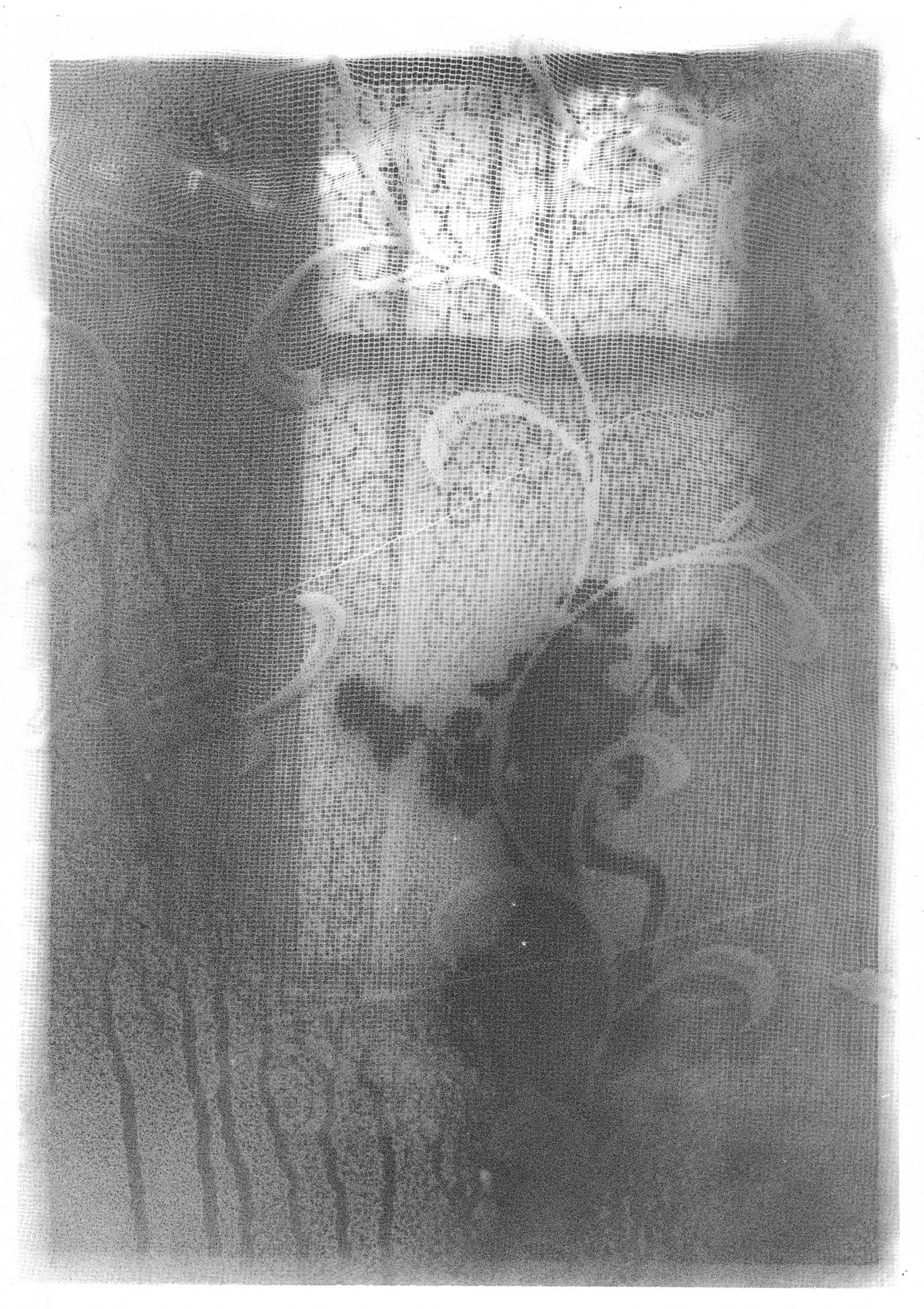 Michael Boffey Lost Poem