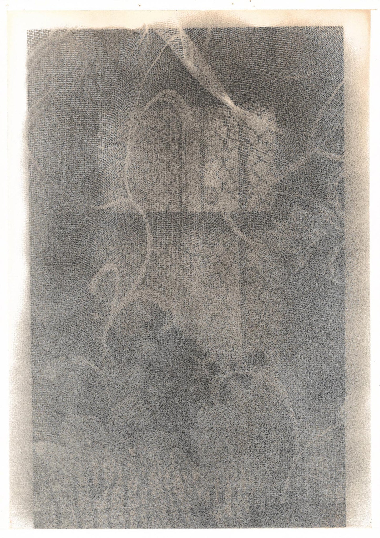 Michael Boffey Dream Story