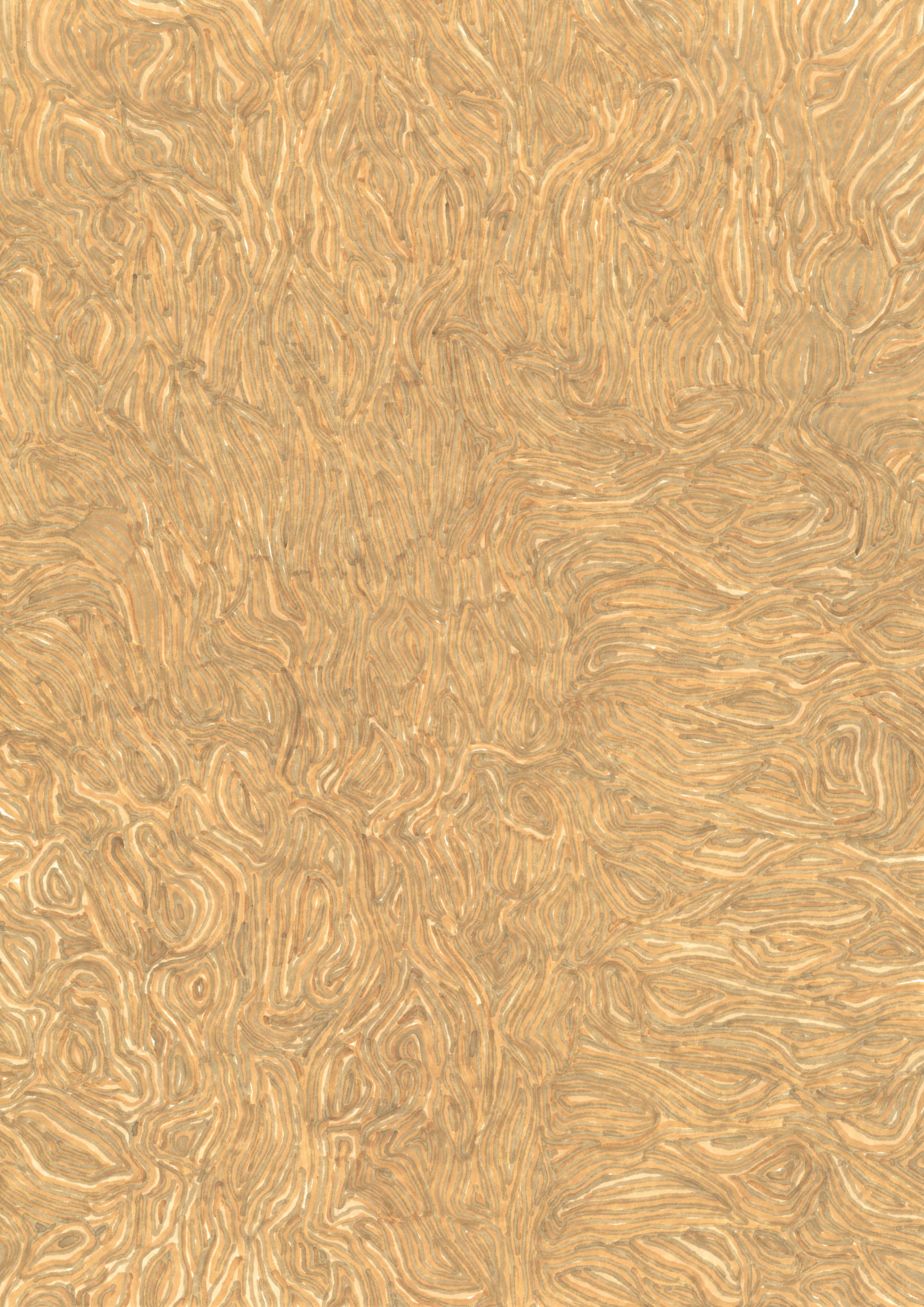 Nika Neelova WG10 (Sandstone, Khaki, Champagne)