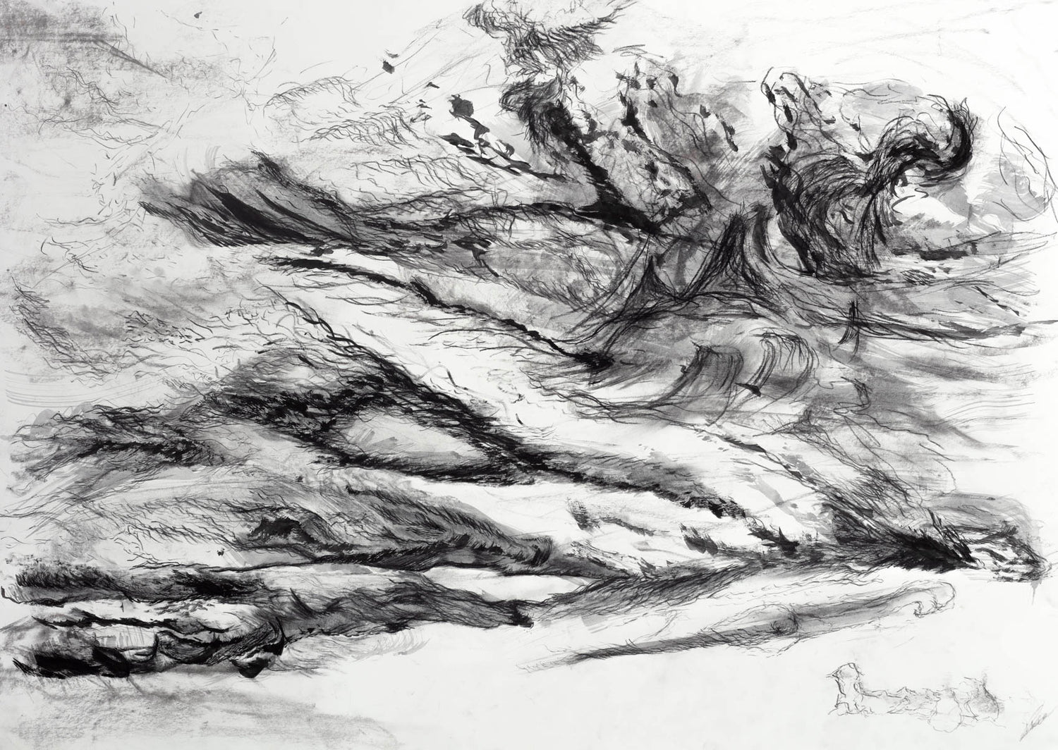 Tzung-Hui Lee Untitled