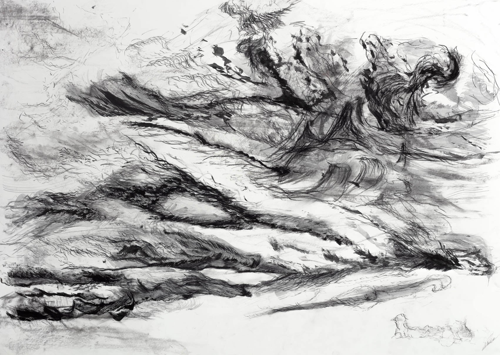 Tzung-Hui Lee Untitled