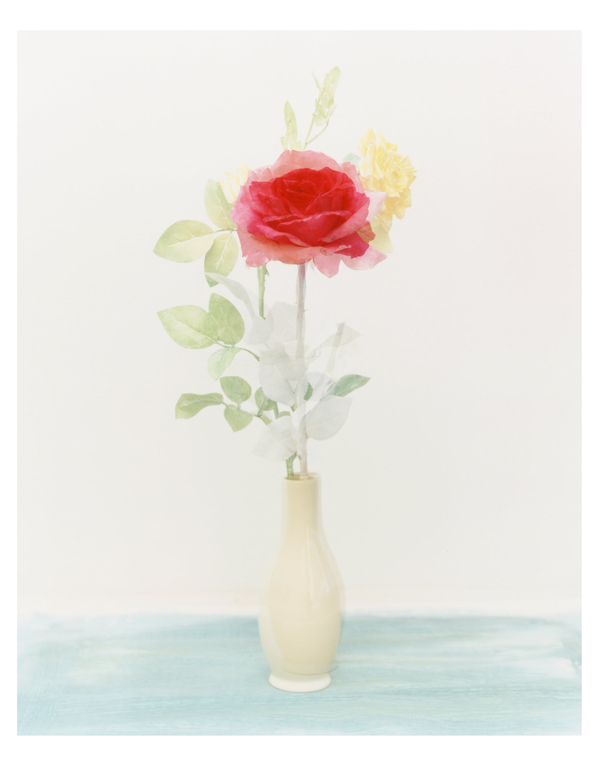 Clarisse d'Arcimoles The Tinted Flower Series I