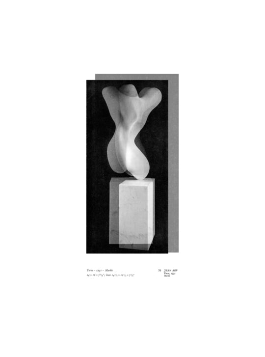 Lucienne Bestall In the Round (Torso I)
