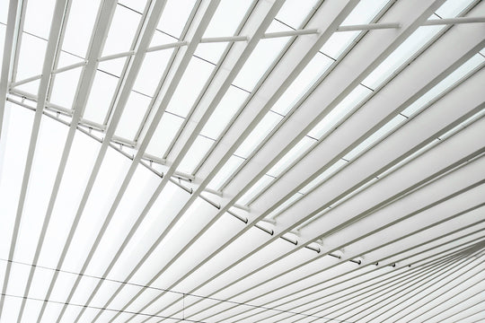 Alba Deangelis High Speed Train Station B By Santiago Calatrava, Reggio Emilia 1