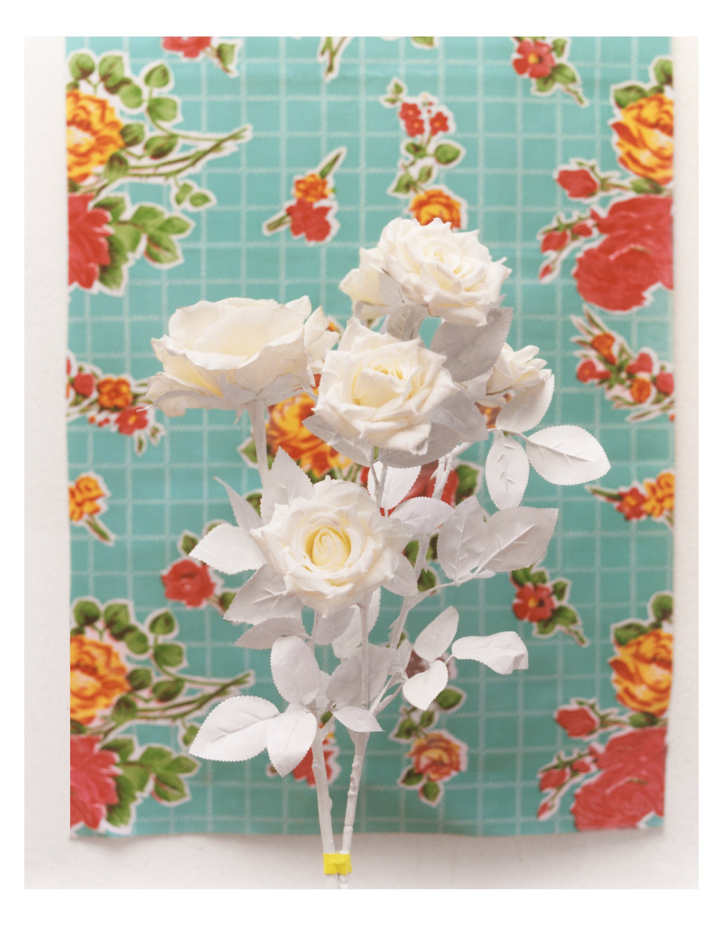 Clarisse d'Arcimoles The Tinted Flower Series 3