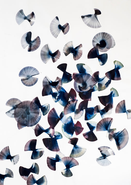 Lyndi Sales Drawer Drawing 02