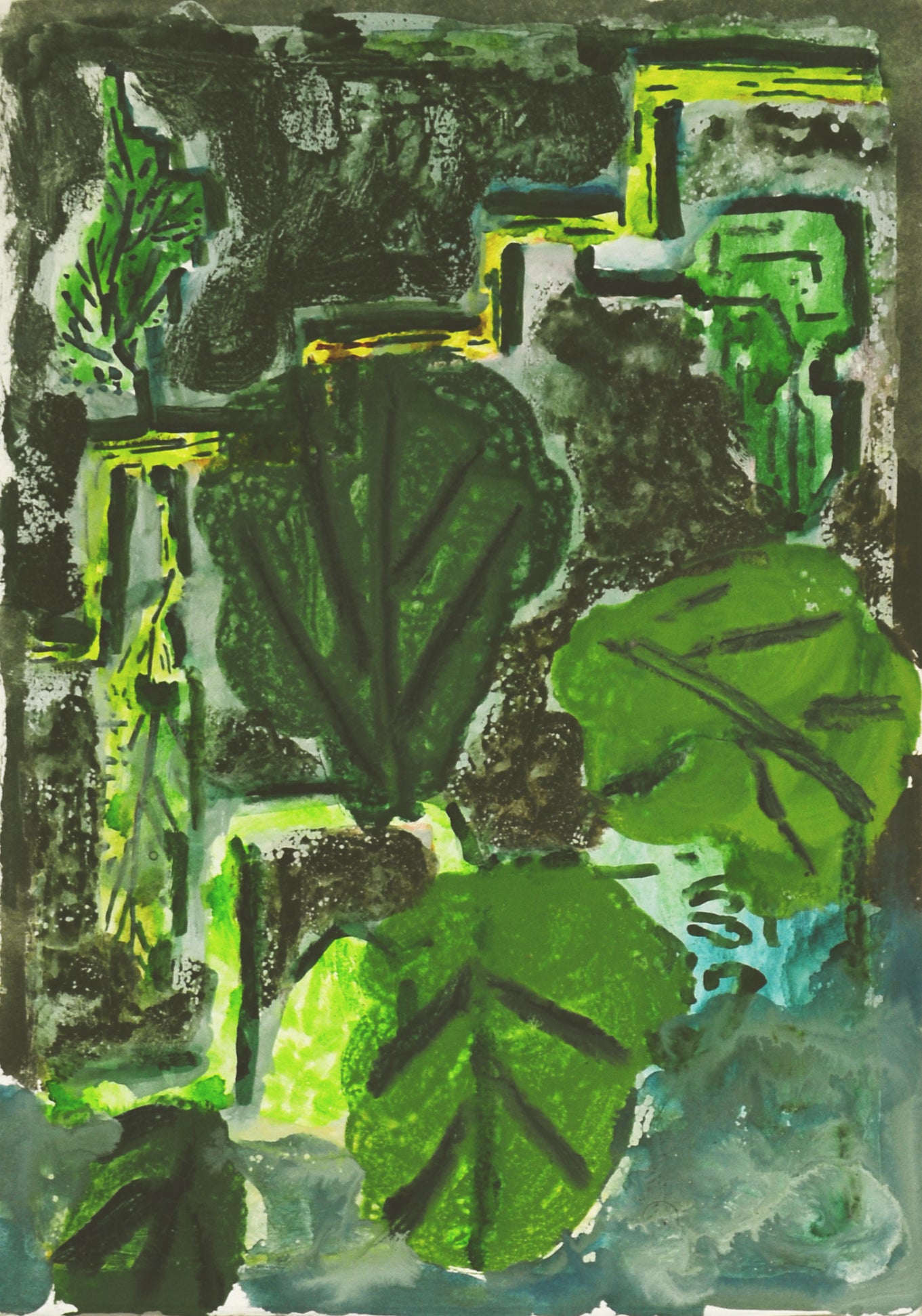 Adam Hennessey Cabbage Leaves