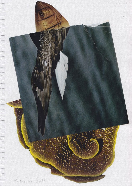 Katherine Bull #andthisismecollage_16.10.04