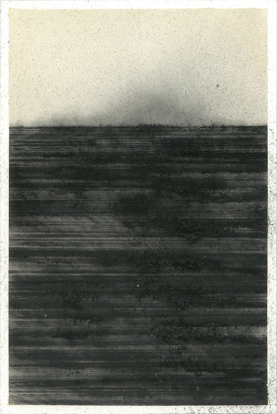 Patrizia Novello Processo #5