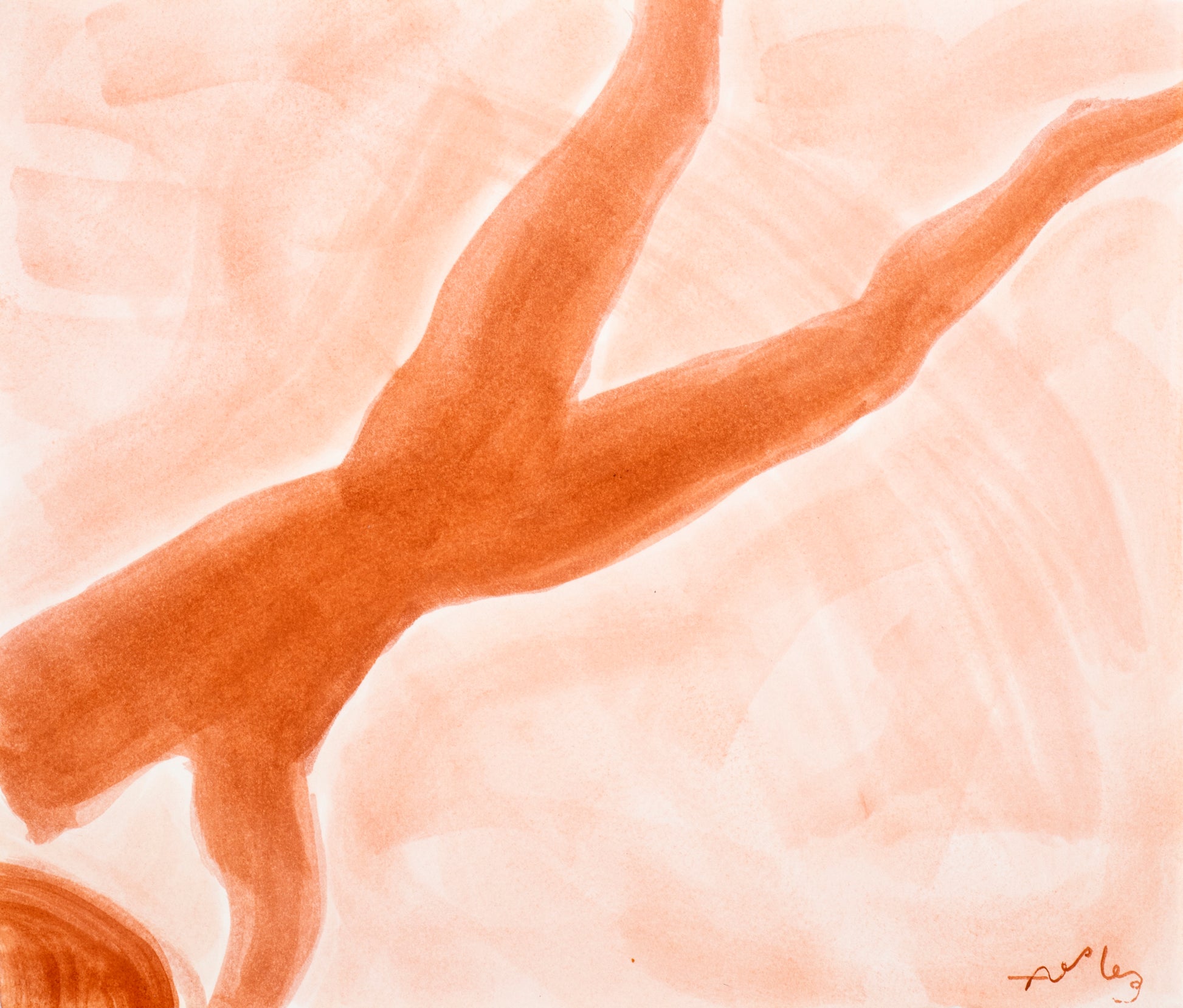 Anna van der Ploeg Dive Study