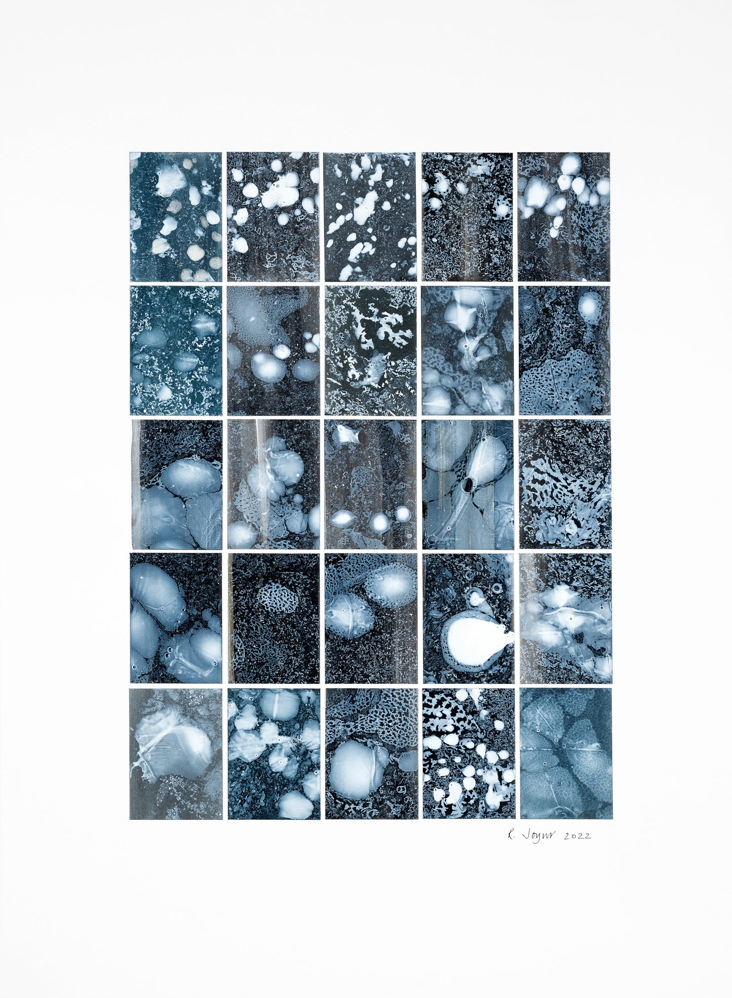 Rosemary Joynt  Analogy 5