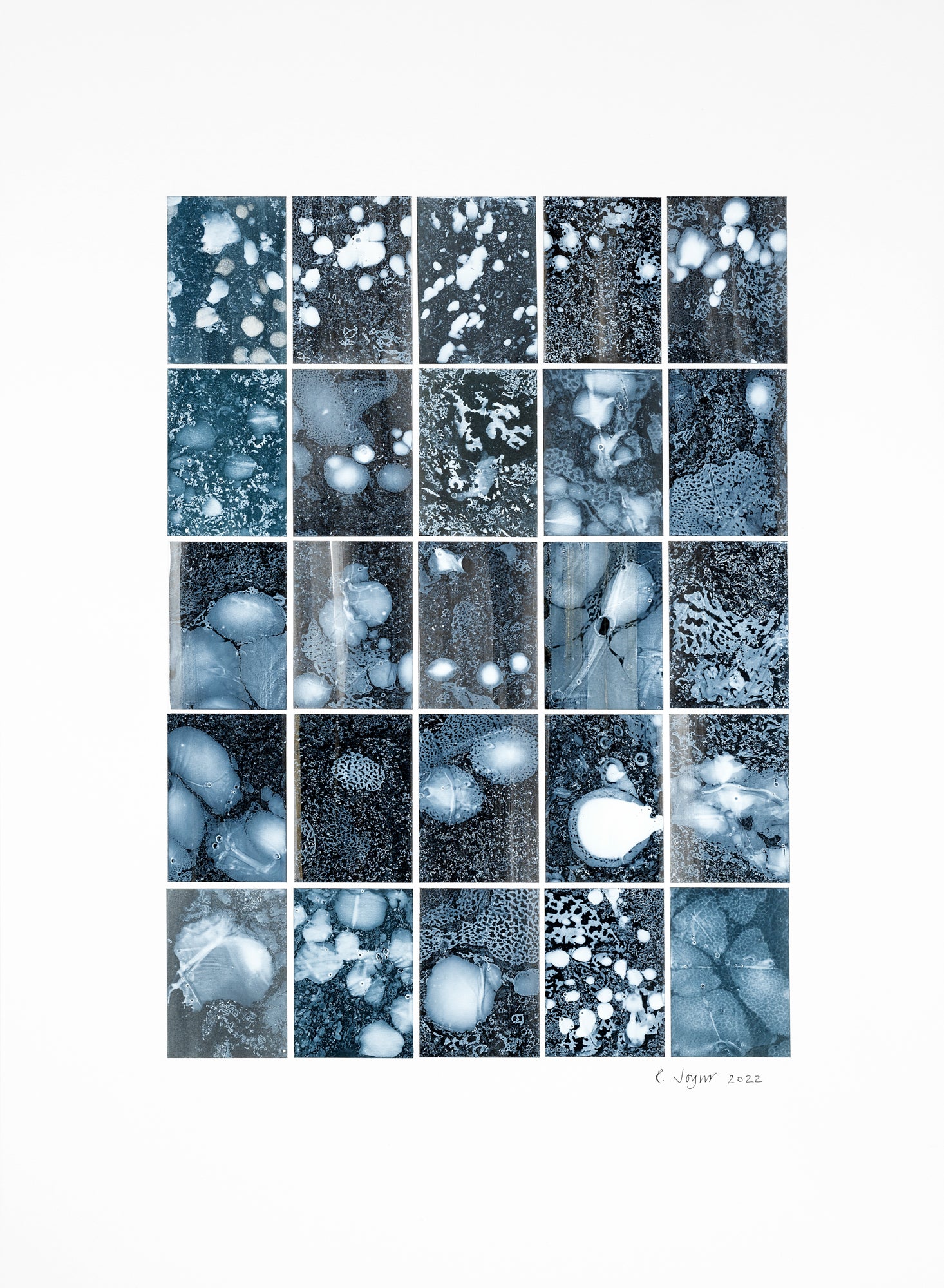 Rosemary Joynt  Analogy 5