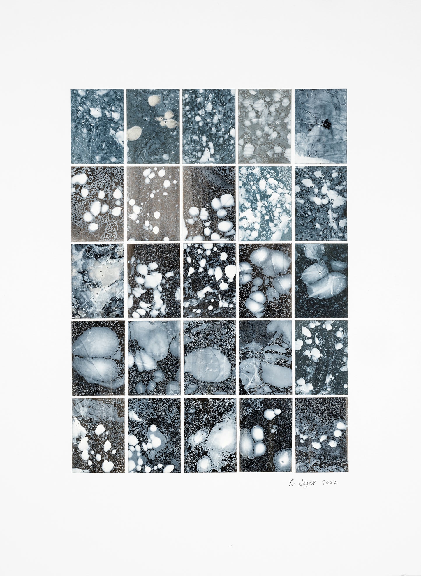 Rosemary Joynt  Analogy 6