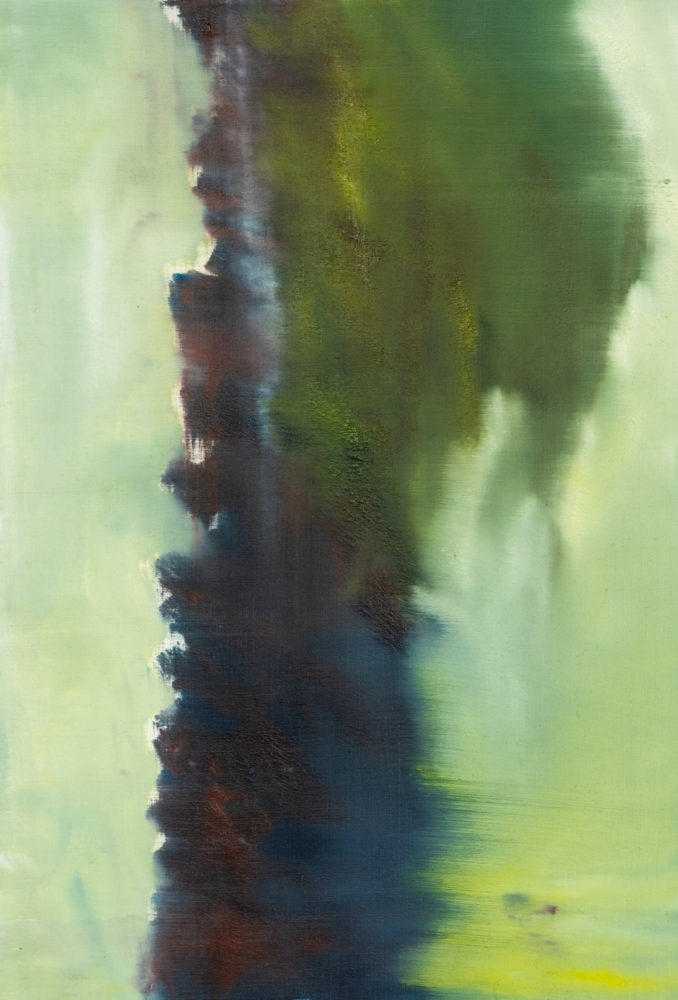 Swain Hoogervorst Palm