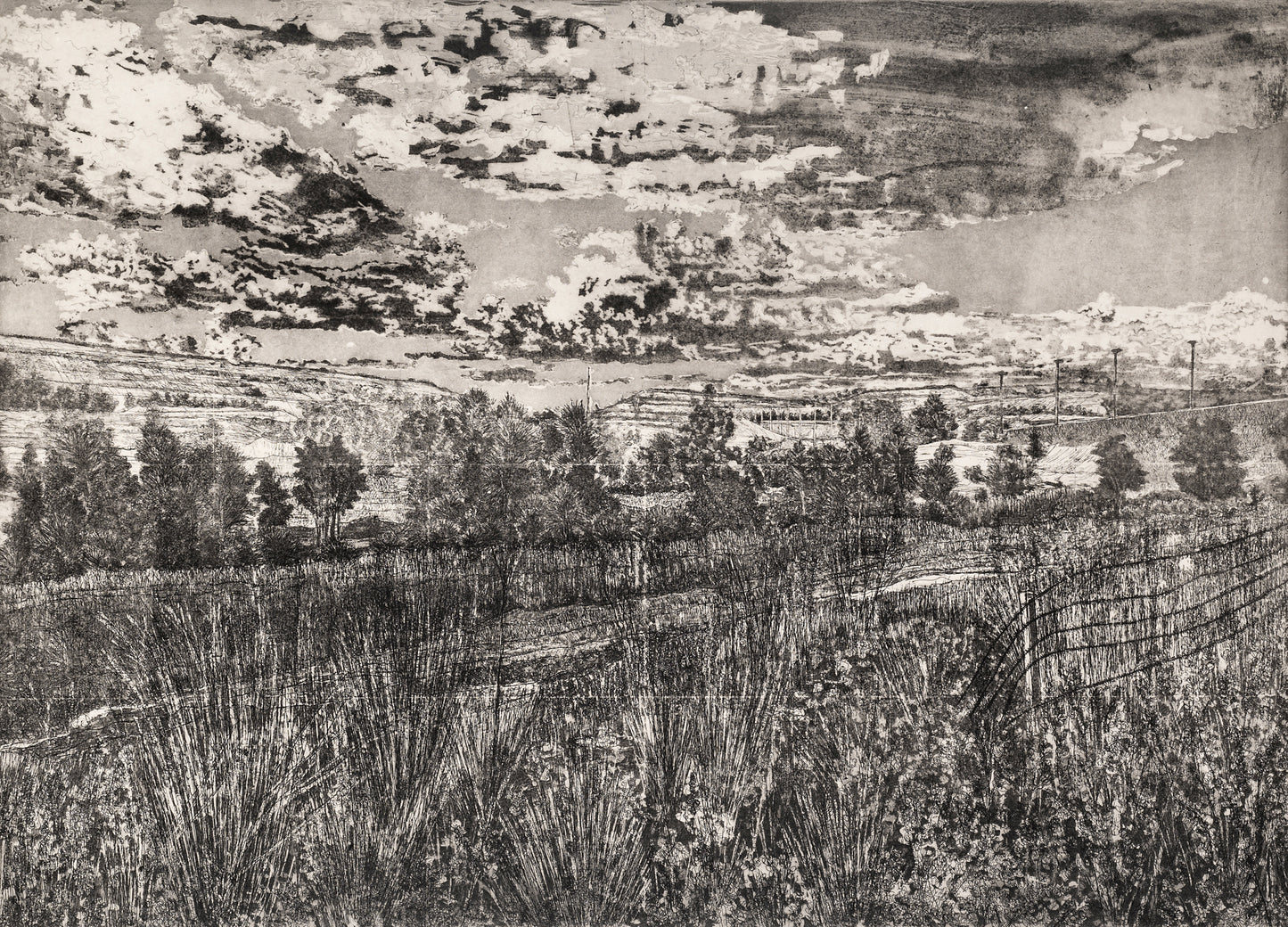 Mario Soares South African Vol II. Etching