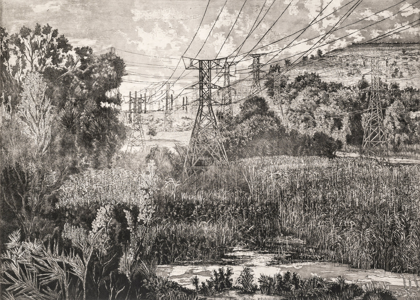 Mario Soares South African. Etching