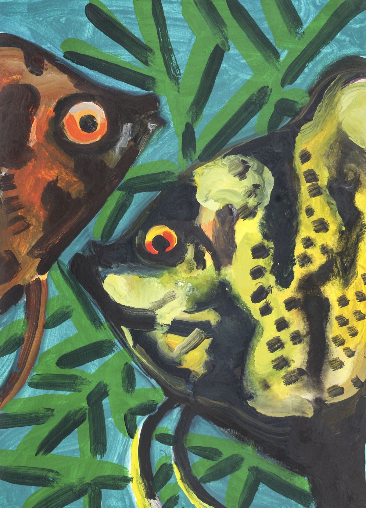 Adam Hennessey Angel Fish