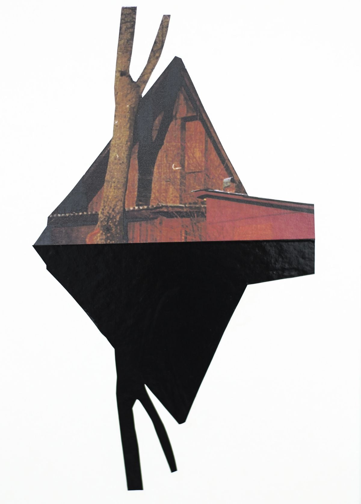 Alice Wilson Reflecting on Triangle