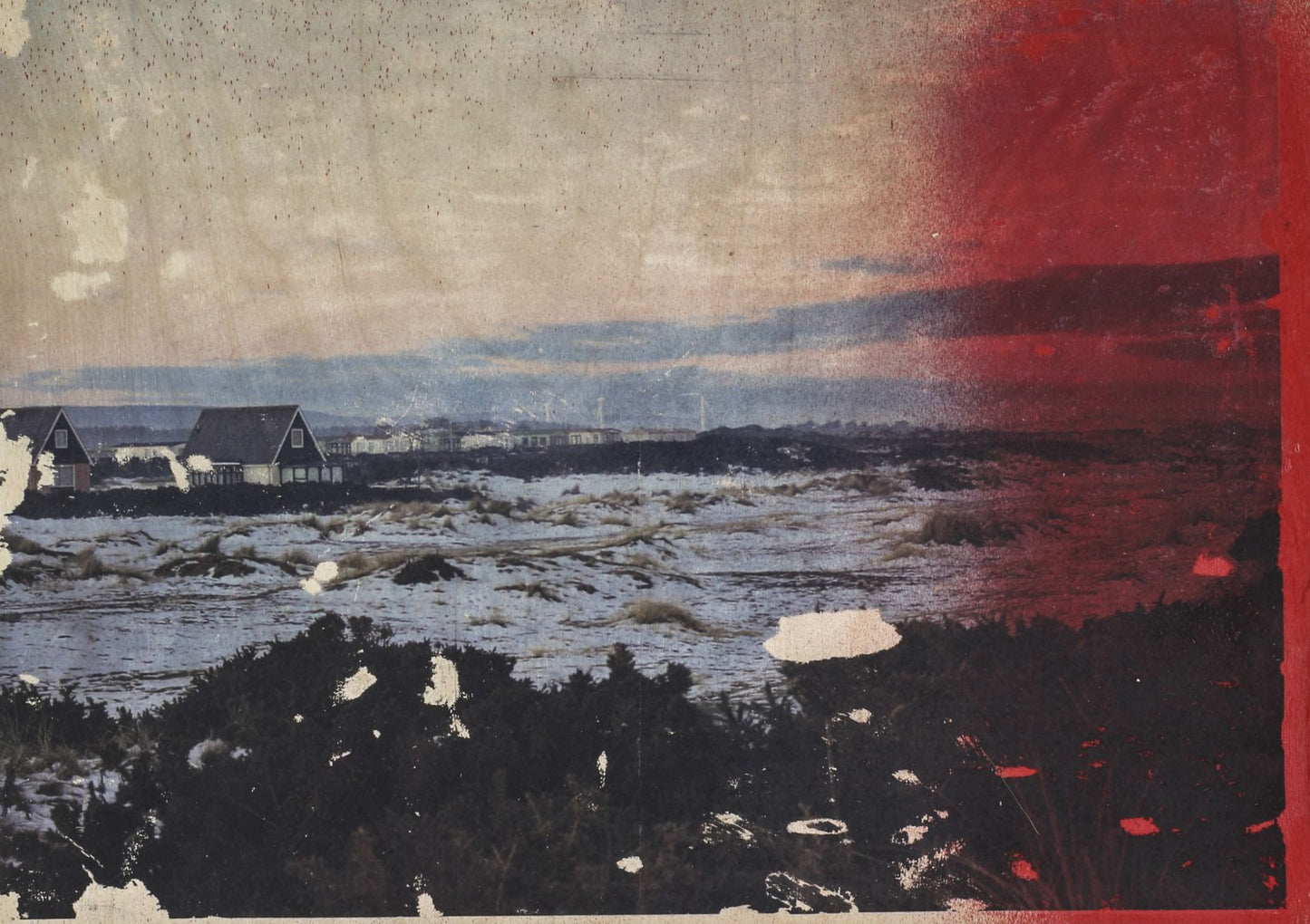 Alice Wilson Red Morlich