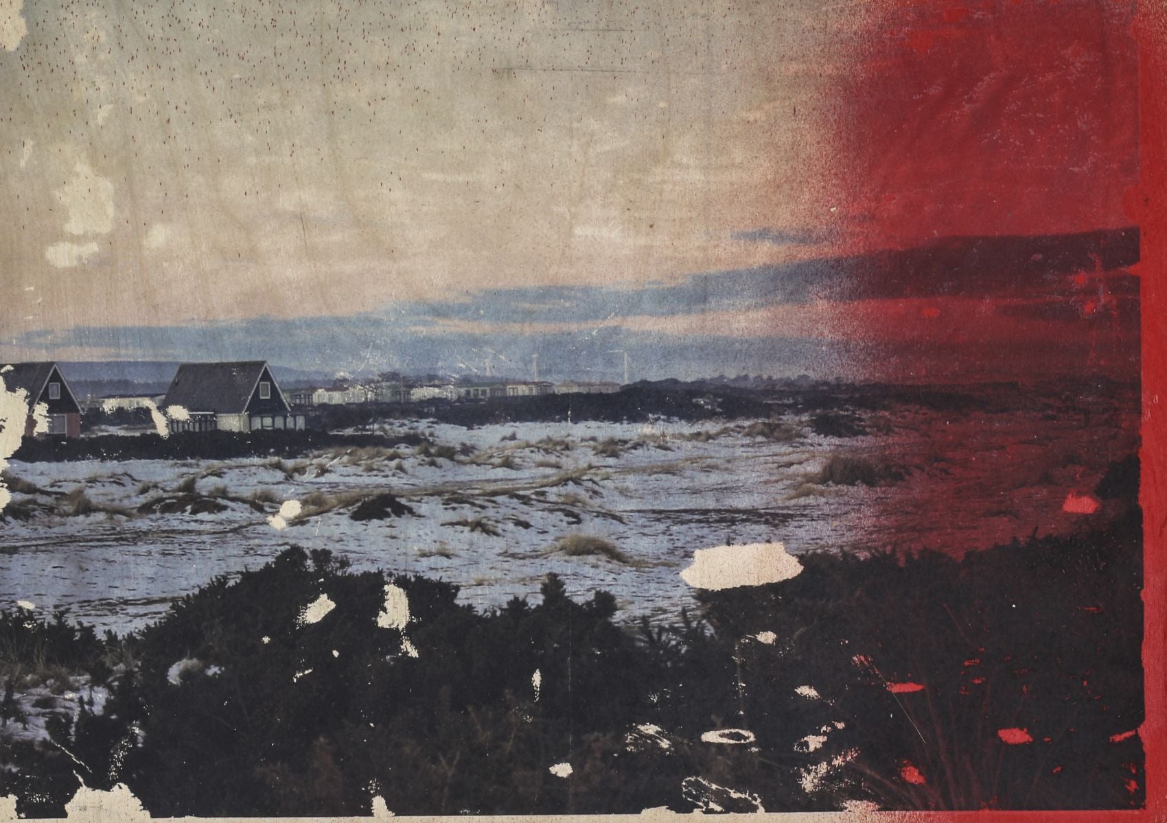 Alice Wilson Red Morlich