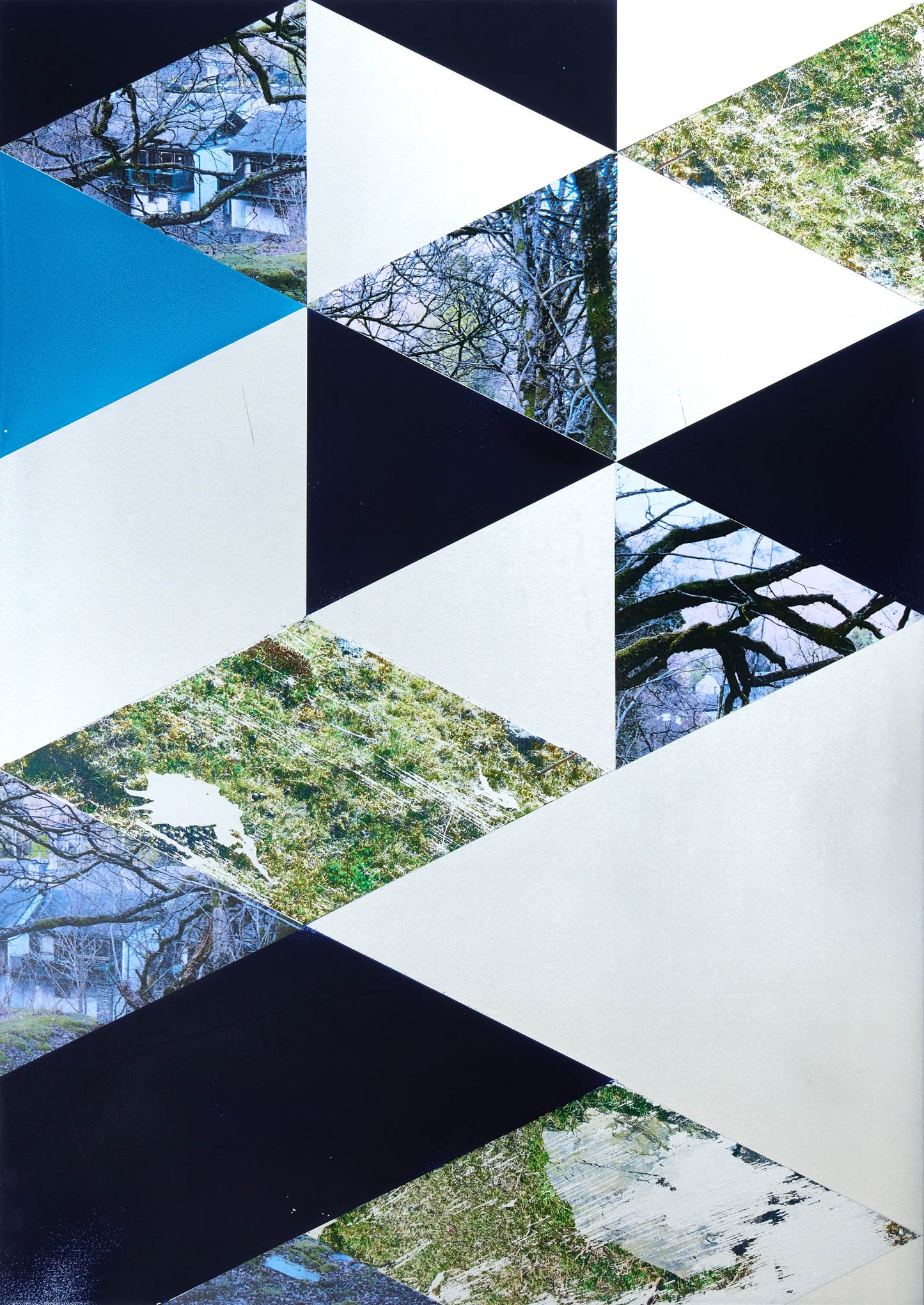 Alice Wilson Time Share and Trees 01